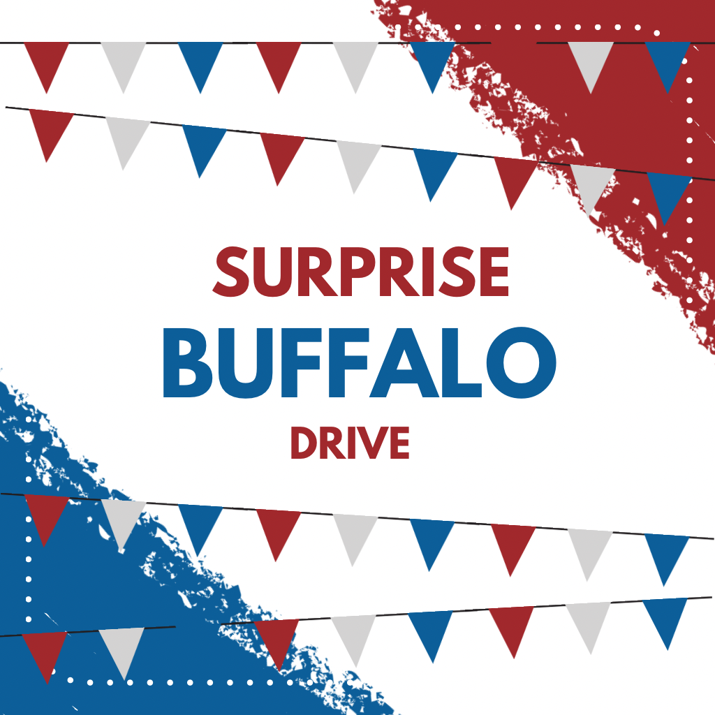 Surprise Buffalo Bundle